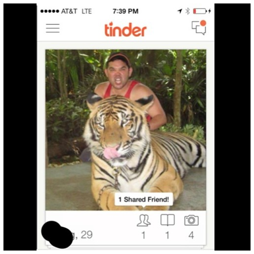 Tiger Selfies La Nueva Moda Que Quieren Prohibir Revista Merca2 0