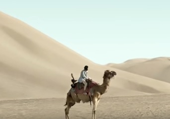 anuncio de citas con camellos