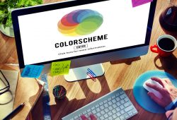 Color Web Creativity Color Codes Color Scheme Concept
