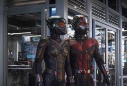 Ant-Man_The Wasp-Marvel
