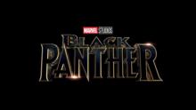 Director Black Panther
