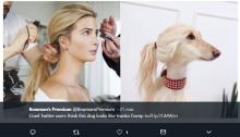 ivanka Trump