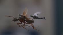 Ant-Man_The Wasp-Marvel-IMDB