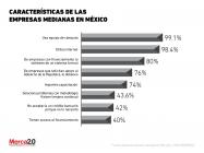 Características de las empresas medianas en México