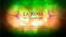 rosa-de-guadalupe-tv-Televisa