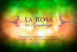 Rosa Guadalupe sueldos