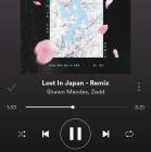 Shawn Mendes-Lost In Japan Remix