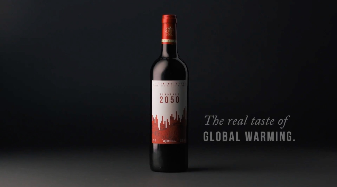 Bordeaux 2050: un vino para conocer el impacto del calentamiento global.