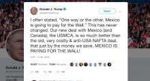 Trump-México-AMLO-Muro