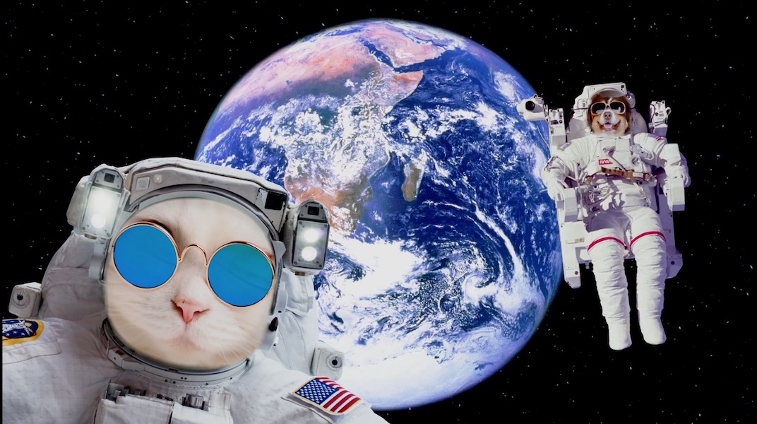 Shutterstock-Moon Landing-Exposed