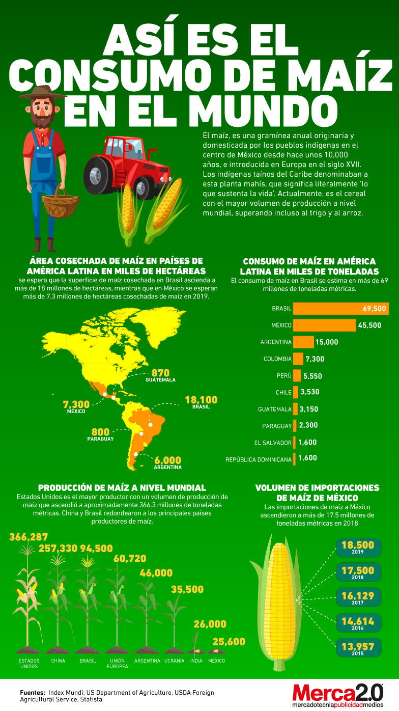 Infografía Así es el consumo del maíz a nivel global
