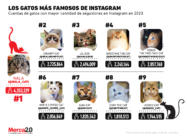 Estos son los gatos más famosos de Instagram