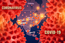 ¿Es similar el comportamiento de los consumidores mexicanos al de otros países con respecto al coronavirus?