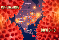 ¿Es similar el comportamiento de los consumidores mexicanos al de otros países con respecto al coronavirus?