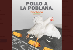 Bachoco ha dado de qué hablar en su nueva campaña publicitaria