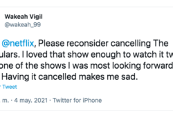 Netflix canceló los irregulares