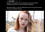 Stranger-Things-Netflix-Ann-With