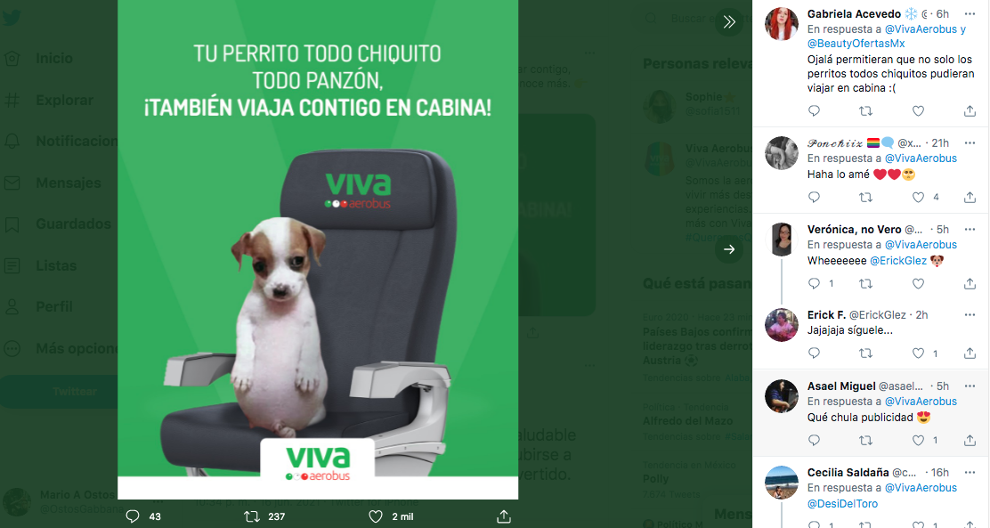 Perrito Panzón, nueva imagen de campaña para Viva Aerobus