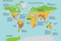 mapa tierra con 4 grados mas diseño clima