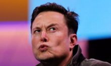 Elon Musk Dogecoin pelea