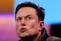 Elon Musk Dogecoin pelea