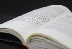 Bitcóin, criptomoneda y poliamor, algunas de las 3.836 nuevas palabras en el diccionario de la RAE