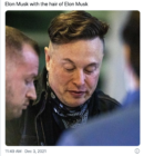 Elon Musk cabello