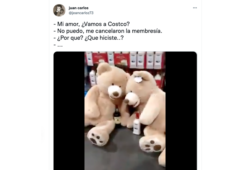 osos de Costco se emborrachan