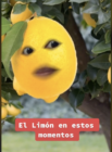precio del limón