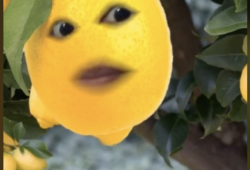 precio del limón