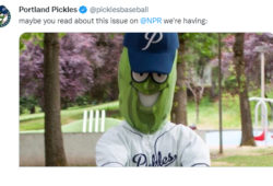 portland pickles mascota