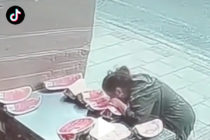 Cámaras de seguridad captan a mujer comiendo una sandía