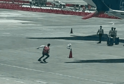 perro corre por pista de aeropuerto