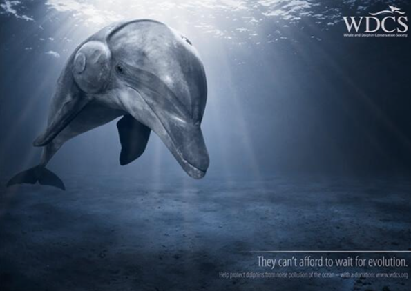 Let's commemorate World Oceans Day with these 5 advertising pieces