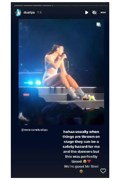 Dua Lipa kicked a Dr. Simi stuffed animal and these were her reasons