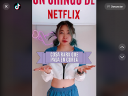 Netflix Chingu Amiga
