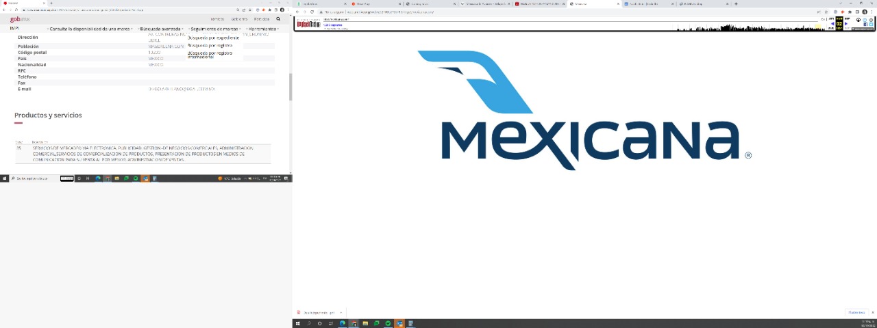 How to use the Mexicana de Aviación brand?