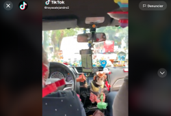 Uber Toy Story