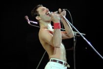 niño Freddie Mercury