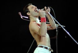 niño Freddie Mercury