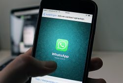 WhatsApp tendrá feedback háptico en nueva actualización