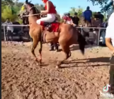 caballo de carreras