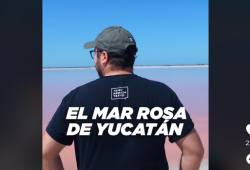 mar rosa de Yucatán