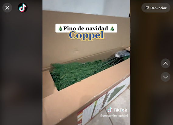 Es su primera Navidad y pareja compra árbol en Coppel; esto pagó