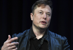Elon Musk Louis Vuitton argentina brasil Tesla