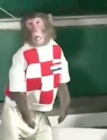 TV japonesa se burla de Croacia usando monos y son eliminados