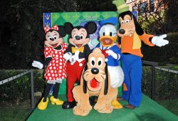 Turista pone a prueba en Disney la garantía "de por vida" de su palomera