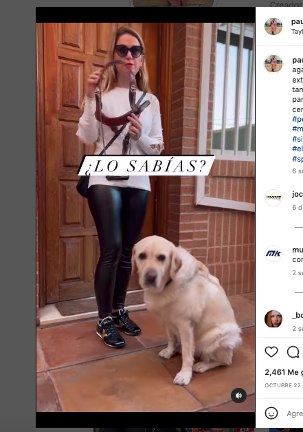 Video viral muestra cómo es que funciona un arnés de perro guía 
