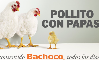 Bachoco lidera en el mercado por su publicidad creativa