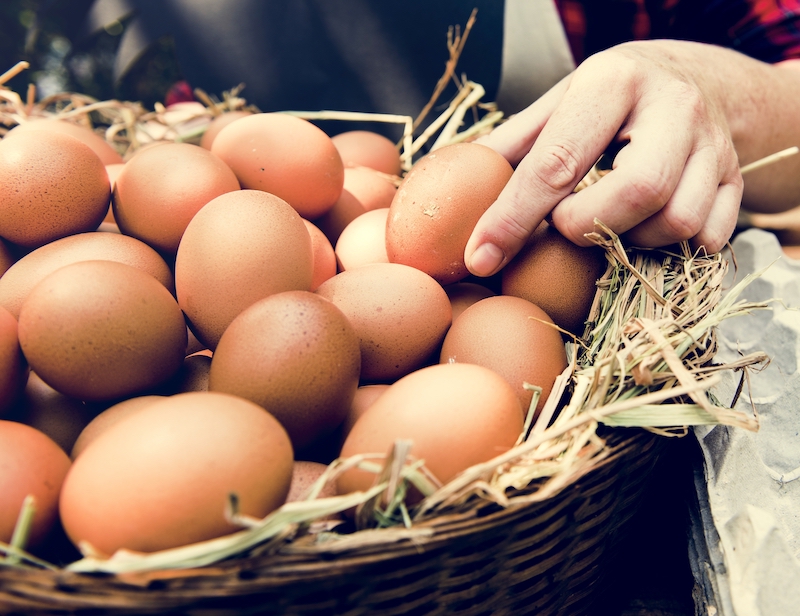 El precio del huevo sigue aumentando en diversos zonas de México, según datos recopilados y compartidos por el (SNIIM).